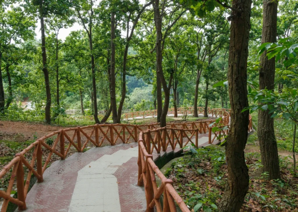 Winding forest path representing feeling lost and finding a new direction in your career